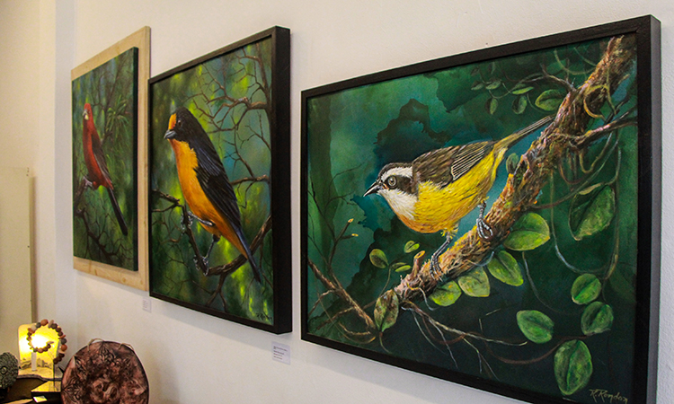 “Maravilhas da Natureza”, do artista Rodolfo Rondon